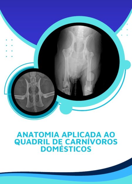 ANATOMIA APLICADA AO QUADRIL DE CARNÍVOROS DOMÉSTICOS