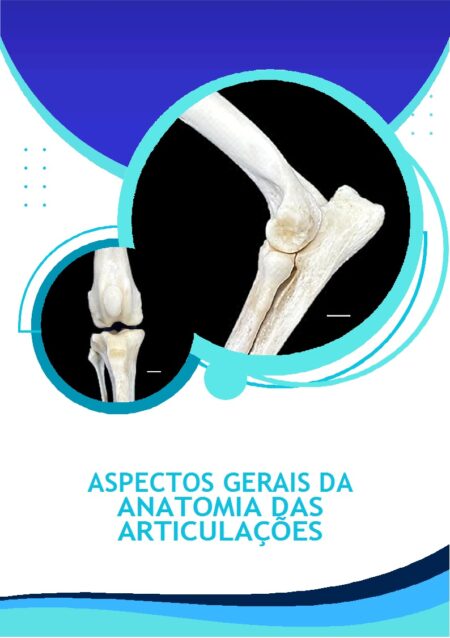 ASPECTOS GERAIS DA  ANATOMIA DAS ARTICULAÇÕES