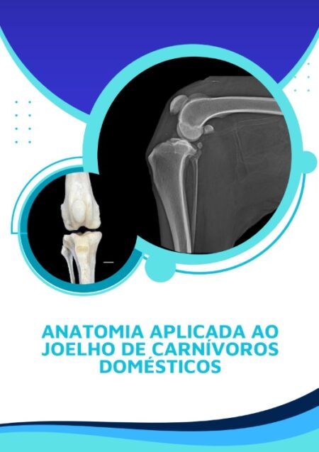 ANATOMIA APLICADA AO JOELHO DE CARNÍVOROS DOMÉSTICOS