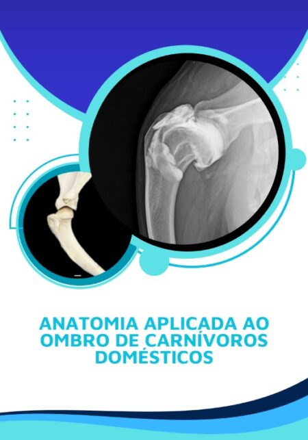 ANATOMIA APLICADA AO OMBRO DE CARNÍVOROS DOMÉSTICOS
